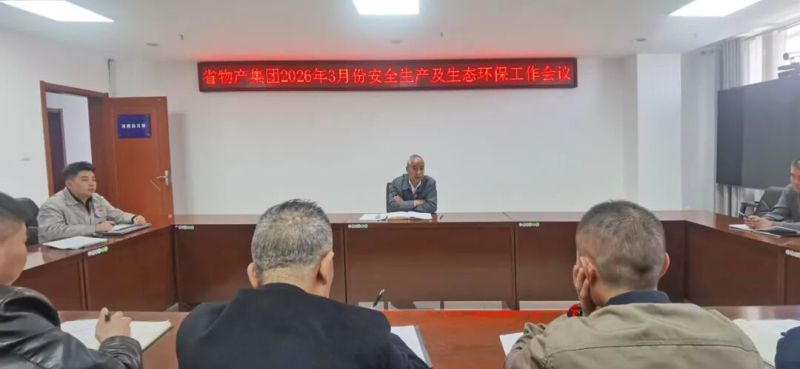 集团召开3月份安全生产及生态环保工作会议