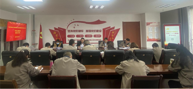 锤炼党性找差距 坚定信念促担当&mdash;&mdash;青海物产朝阳物流开发投资有限公司党支部开展主题教育党性大讨论