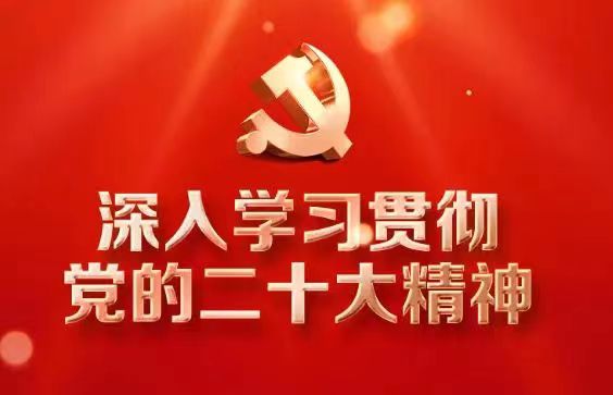 伟德国际1946bv官网深入学习宣传贯彻党的二十大精神（二）