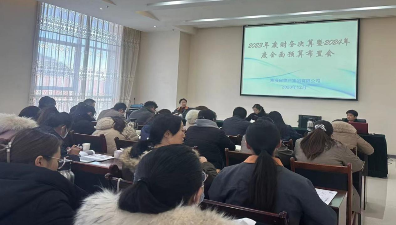 伟德国际1946bv官网召开2023年度财务决算暨2024年度全面预算工作布置会