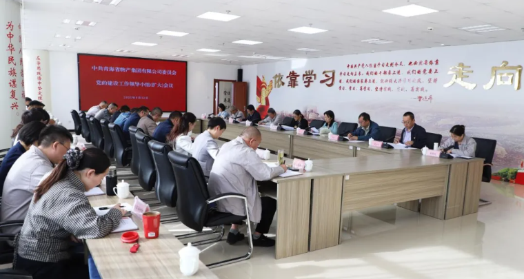 伟德国际1946bv官网党委召开党的建设工作领导小组（扩大）会议