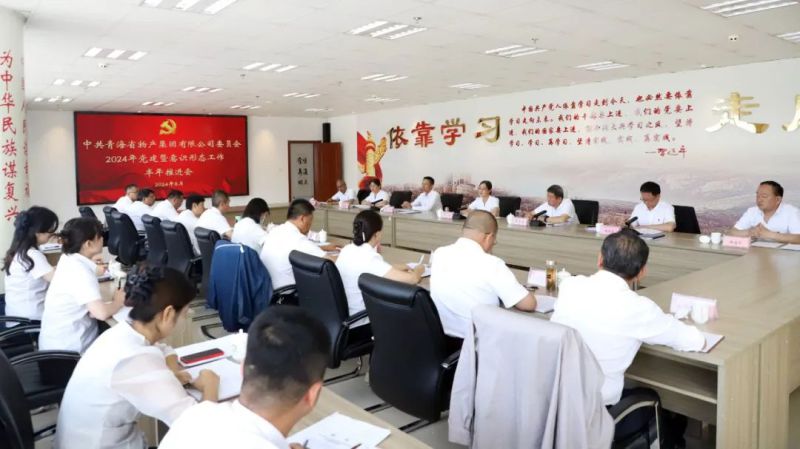 伟德国际1946bv官网党委召开2024年党建暨意识形态工作半年推进会