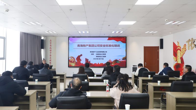 伟德国际1946bv官网组织开展集团系统安全台账标准化专题培训活动