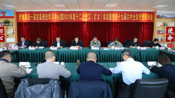 伟德国际1946bv官网召开党委理论中心组学习（扩大）会议暨党的十九届六中全会专题学习研讨会