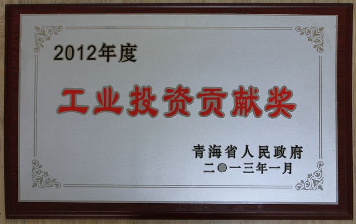集团荣获2012年度青海省人民政府&ldquo;工业投资贡献奖&rdquo;